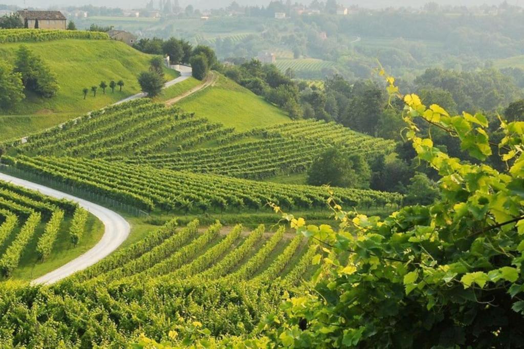 La Casa Di M : D M. Villa Breda di Piave Eksteriør billede